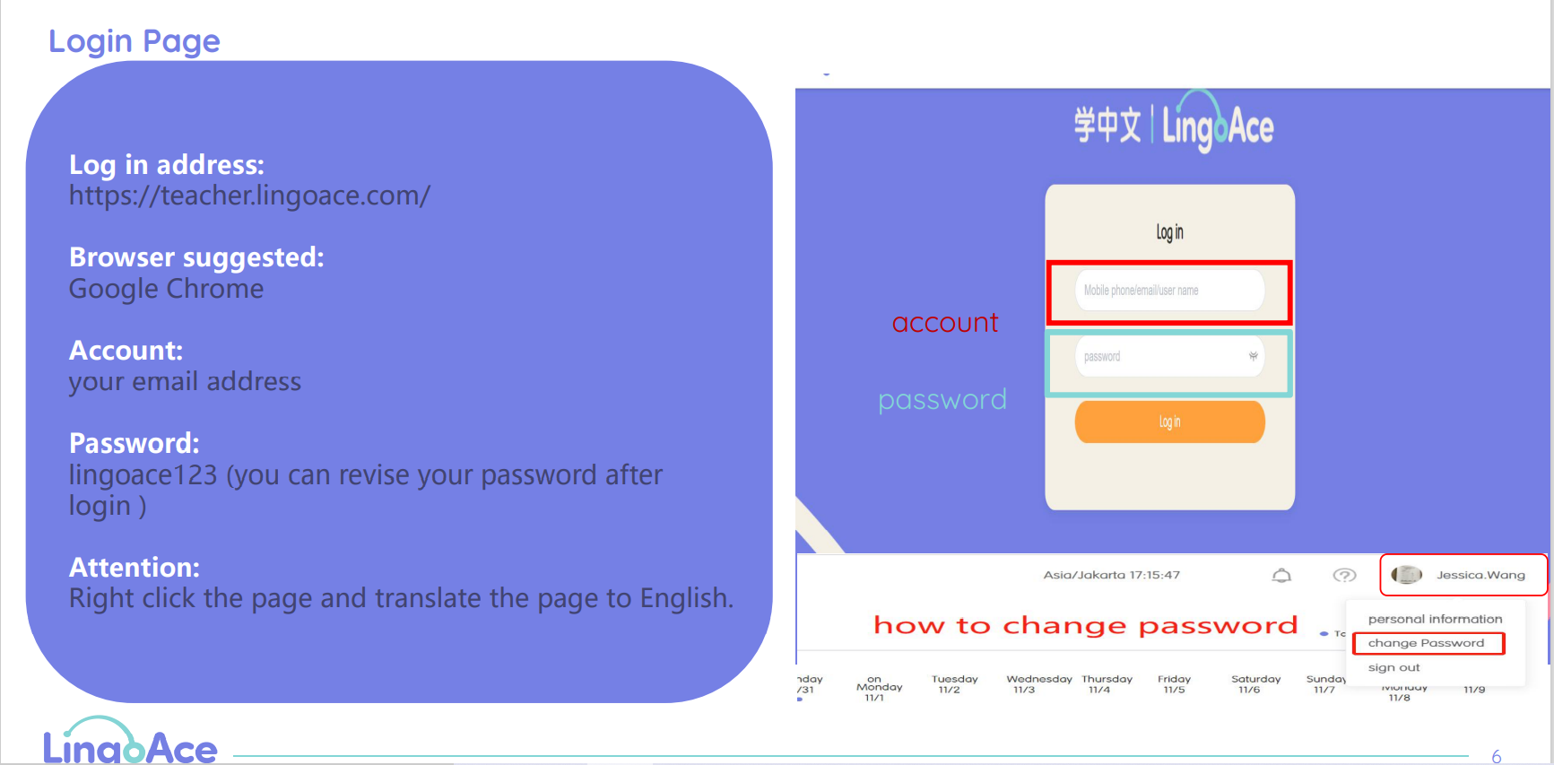 how-to-login-teacher-portal-lingoace